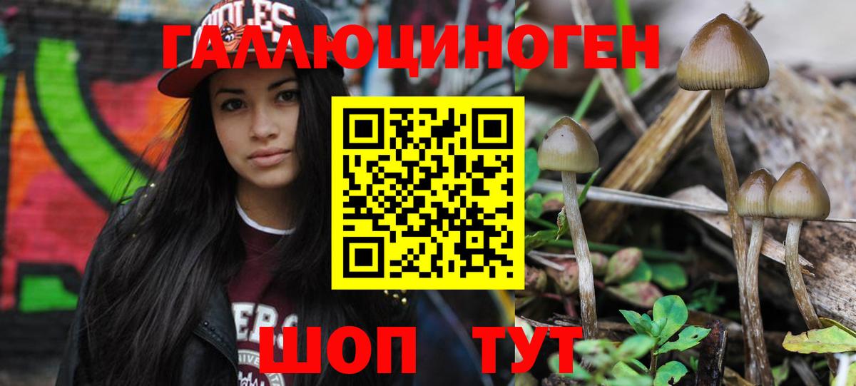 купить наркотик  Вход с VPN  Сухой Лог  Галлюциногенные грибы MAGIC MUSHROOMS 